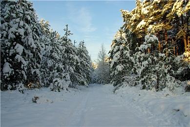 《先驱者》开发商在蒙特利尔开设新工作室